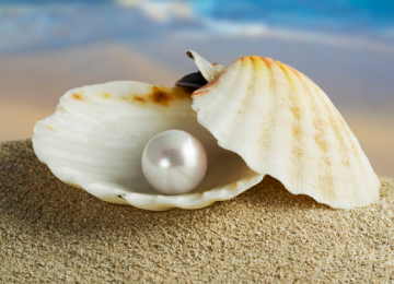 איך הופכים מילים לפנינים?