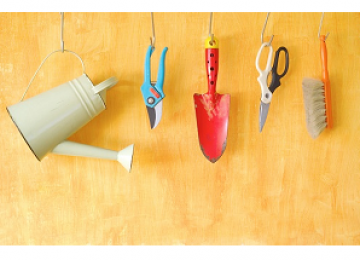 5 כלים חינמיים לשדרוג התוכן שלך